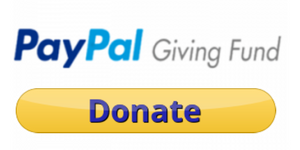 PayPal-Giving-Fund-Donate